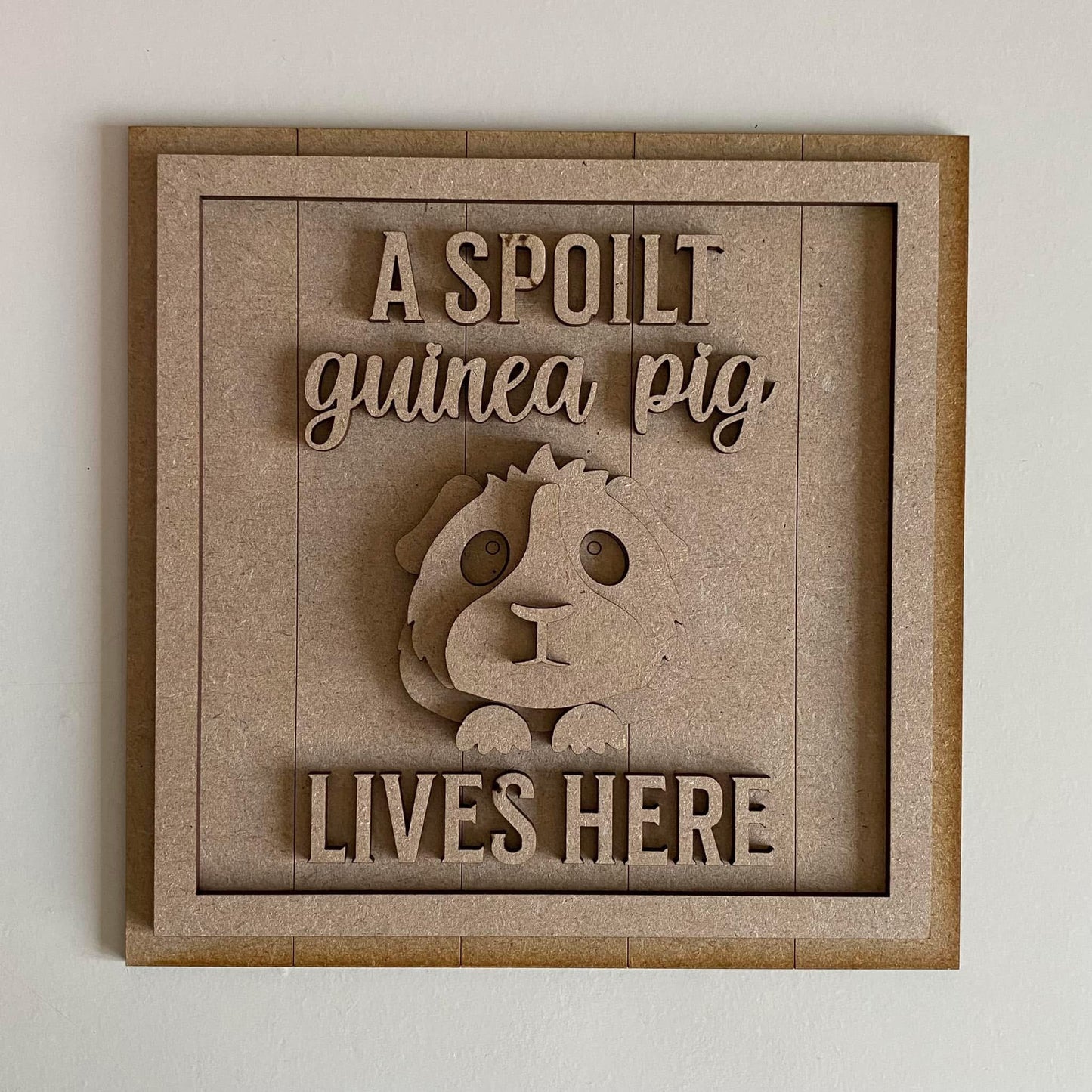 19cm A Spoilt Guinea Pig Lives Here Sign