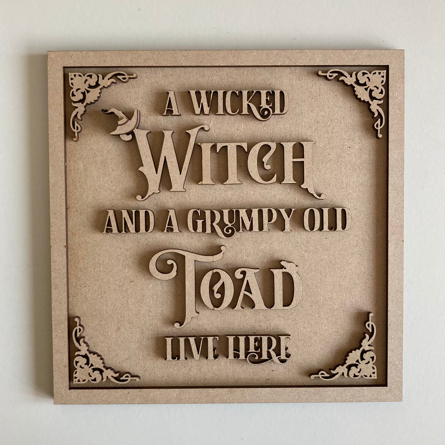 19cm A Wicked Witch And A Grumpy Old Toad Live Here Sign