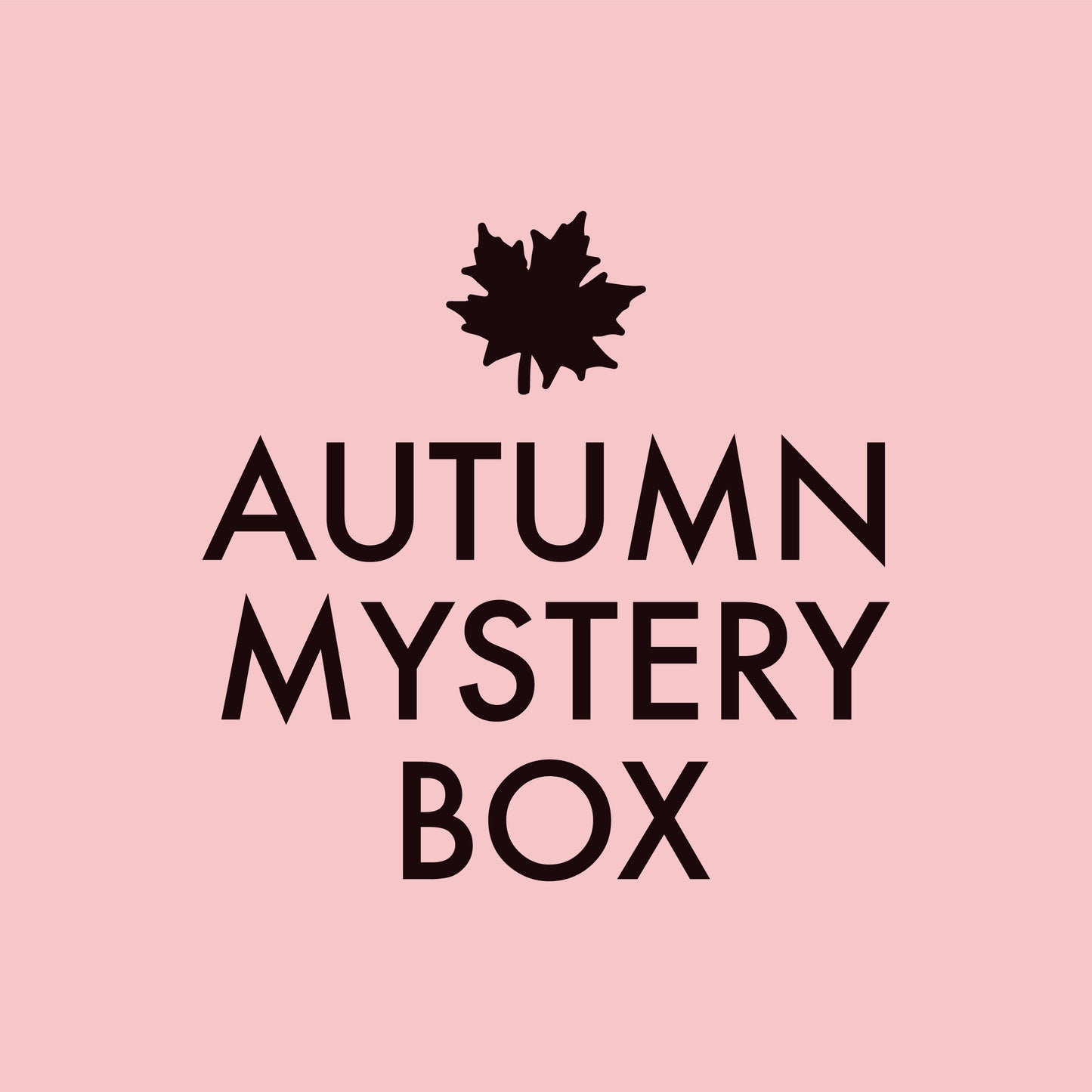 Autumn Mystery Box