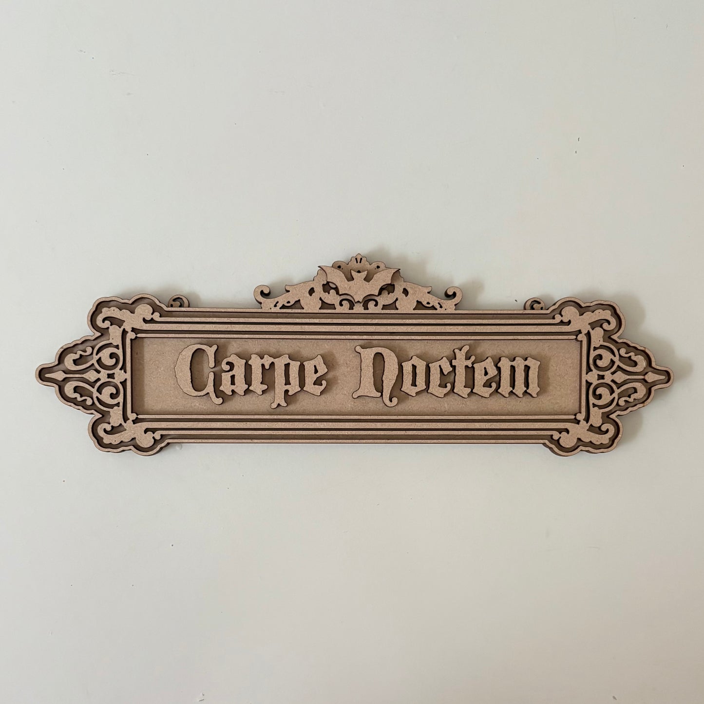 30 Carpe Noctem Sign