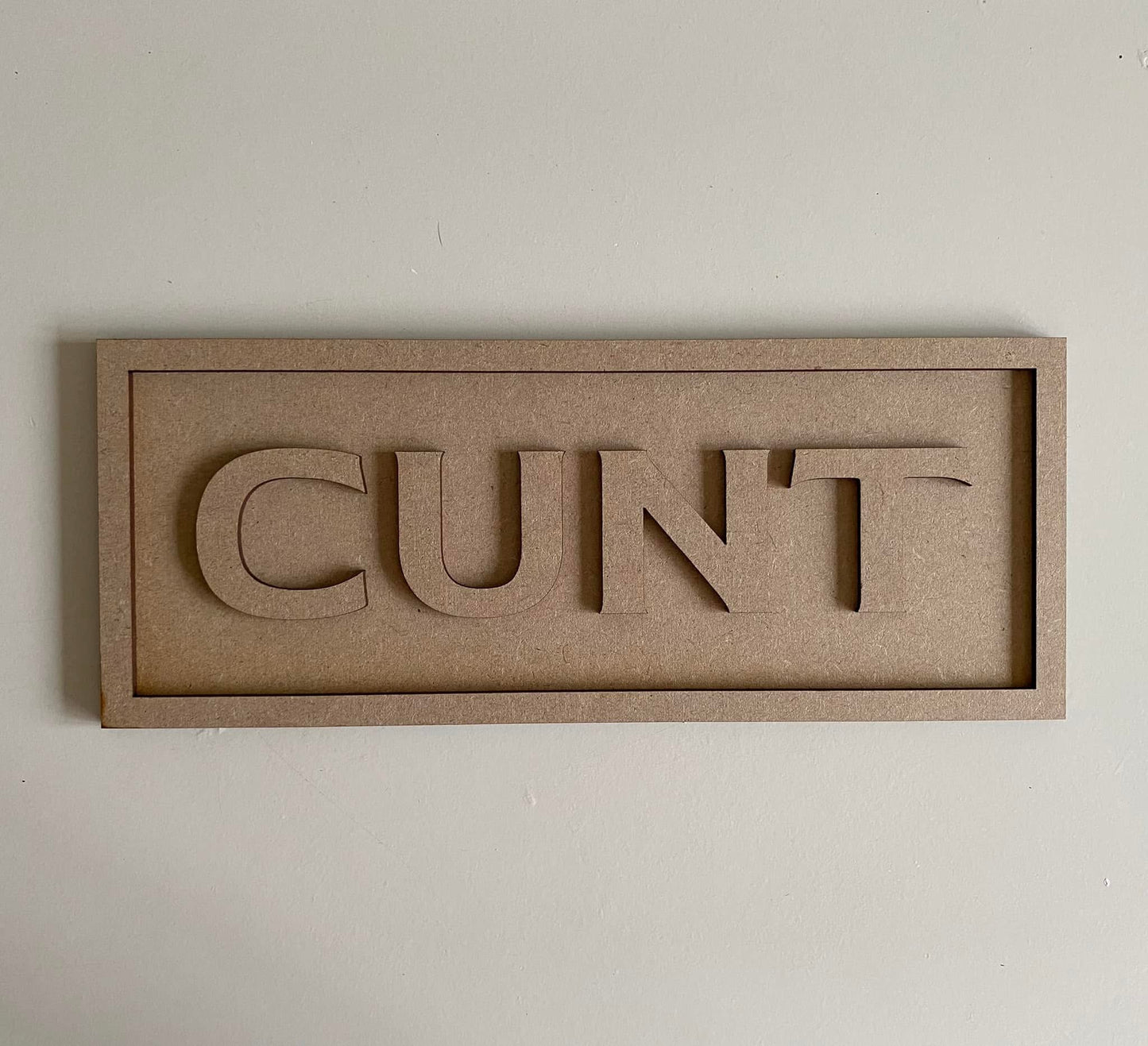 30cm Cunt Rectangle Sign