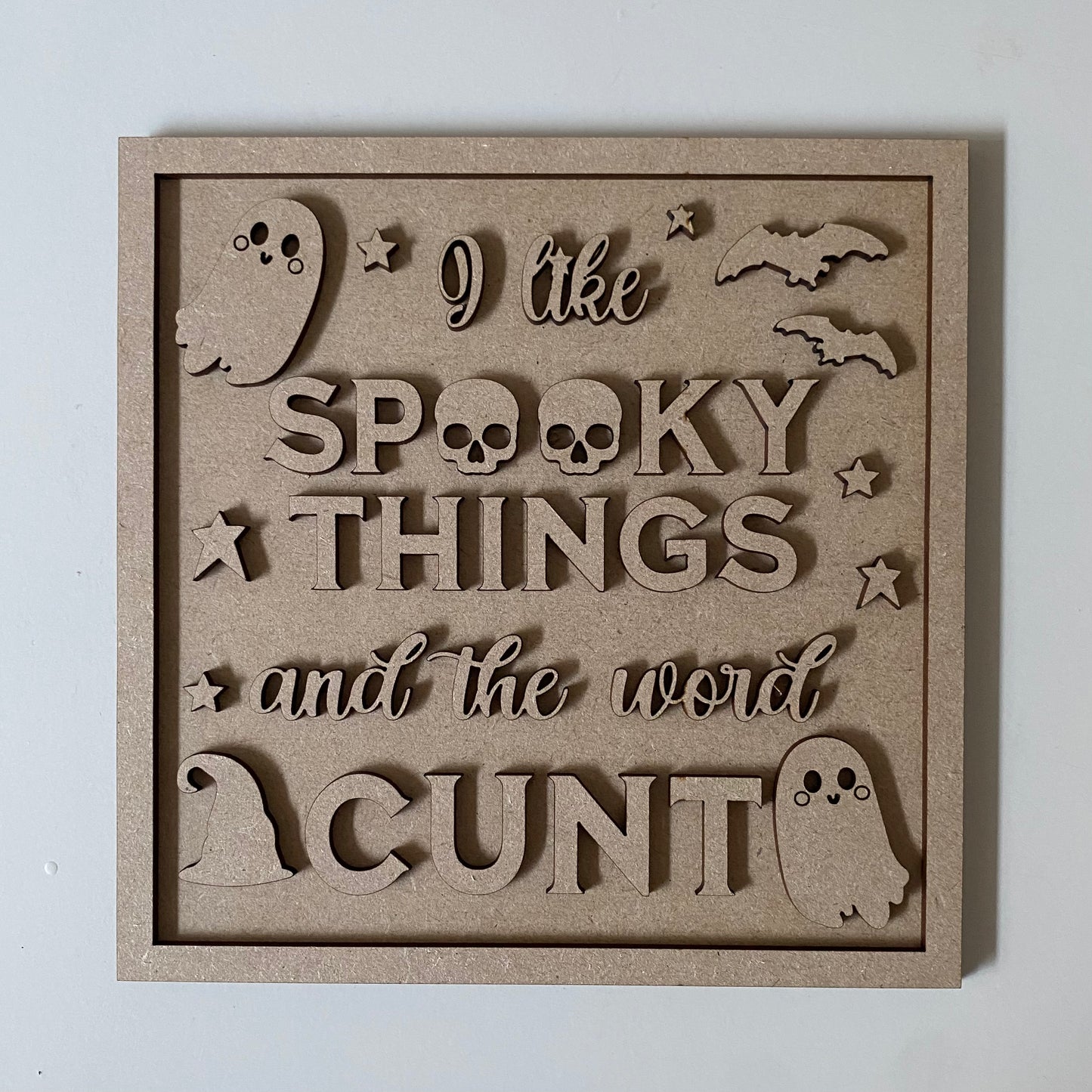 19cm I Like Spooky Things And The Word Cunt Sign