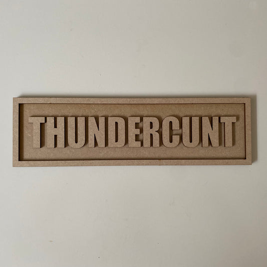 30cm Thundercunt Sign