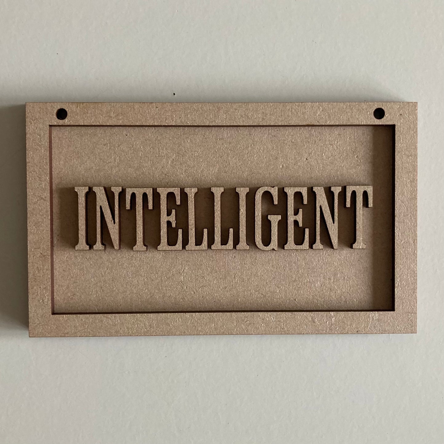 13cm Intelligent Mini Frame