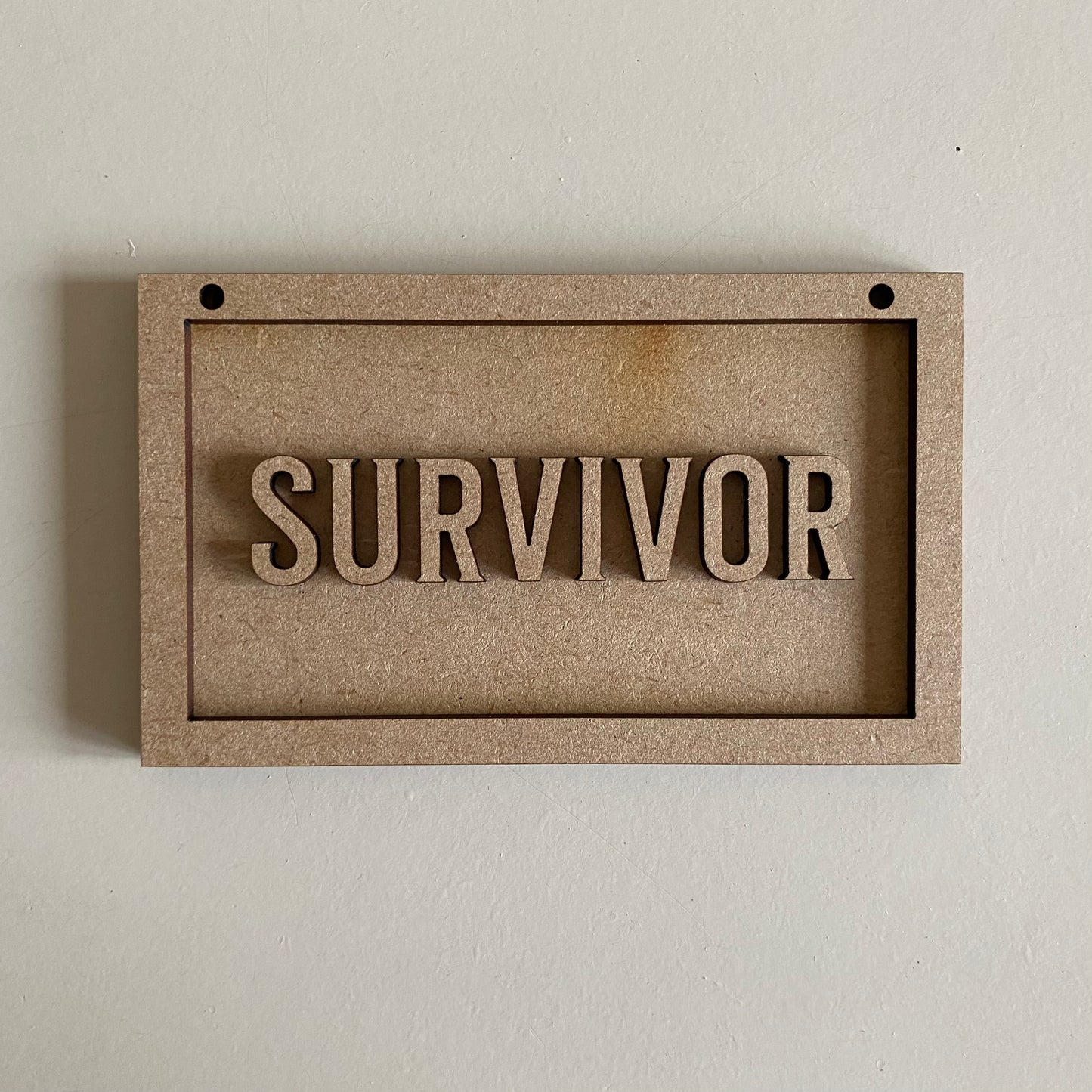 13cm Survivor Mini Frame