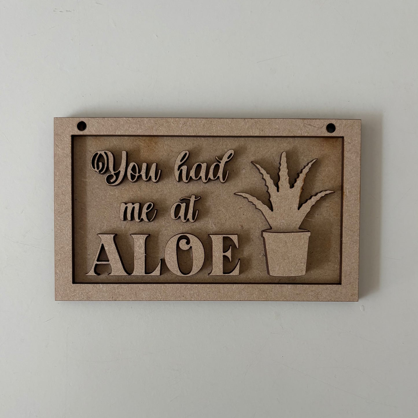 13cm You Had Me At Aloe Mini Frame