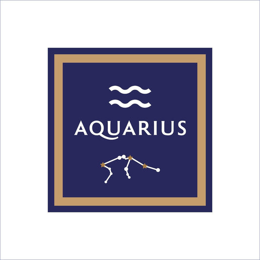 19cm Aquarius Sign