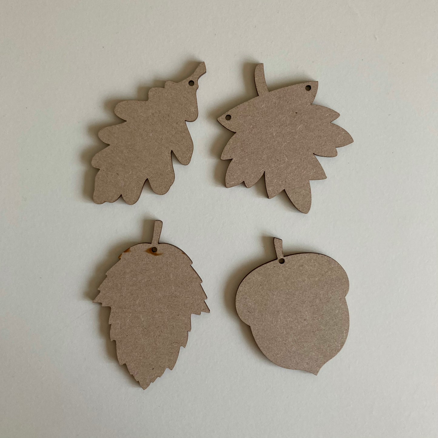 Set Of 4 Bee Autumn Leaves & Acorn Shapes