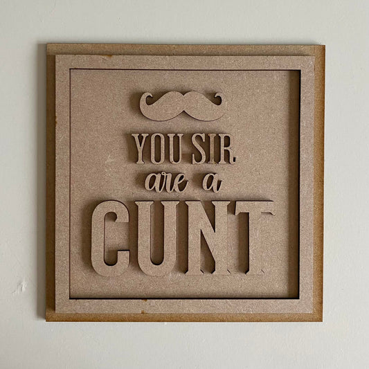 19cm You Sir Are A Cunt Square Sign