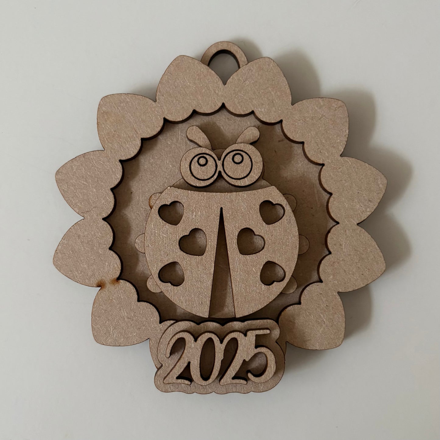 10cm Ladybird Heart Border Year Bauble