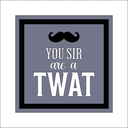 19cm You Sir Are A Twat Square Sign